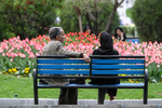 vahid sohrabi0034.jpg
